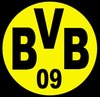 bvb_logo[1].jpg