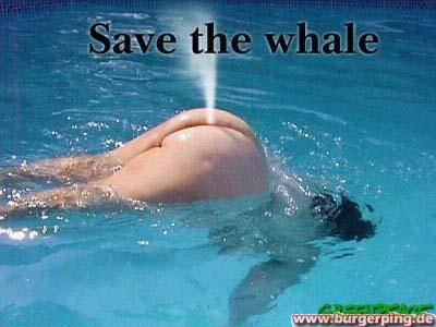 save the whale !